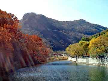 新澳天天开奖资料大全旅游团，传统武侠小说